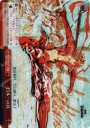 SP 日本一の兵