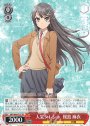 TD 人気タレント 桜島 麻衣