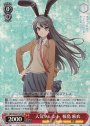 SR 人気タレント 桜島 麻衣
