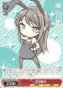 PR ちび麻衣
