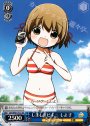 TD しましまビキニ しよ子