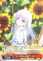 R “あったかかった夏”しろは