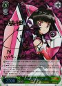 SP たどり着いた答 調(サイン入り)