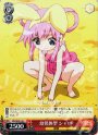 C 幼児体型 シャロ