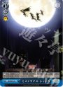C ミステリアス・シャドウ