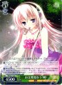 R お宝発見なう 咲