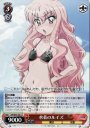 U 水着のルイズ