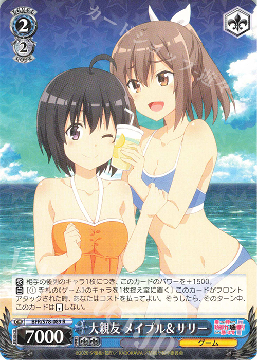 R 大親友 メイプル&サリー | 販売 | 痛いのは嫌なので防御力に極振りしたいと思います。 | ヴァイスシュヴァルツ