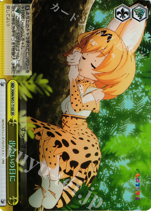SR 出会いの日に | 販売 | けものフレンズ | ヴァイスシュヴァルツ