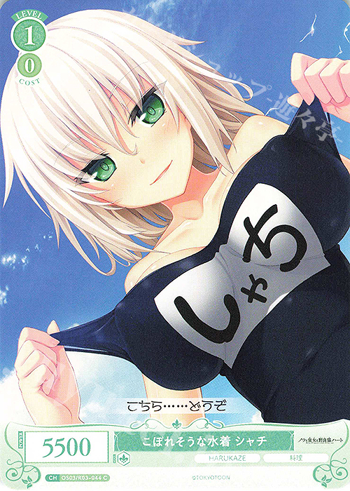 C こぼれそうな水着 シャチ | 販売 | HARUKAZE | ヴァイスシュヴァルツロゼ