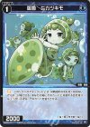  SPDi01-117 SP 羅菌 ミカヅキモ 
