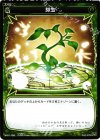  WX01-098 C 芽生 
