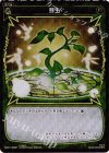  WX01-098P P-C 芽生 