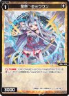  WX24-D1-13 ST 聖将 チョウウン 