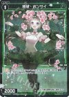 WX24-P2-081P P-R 羅植 ボンサイ