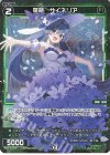  WX24-P4-080P P-C 羅植 サイネリア 
