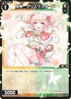  WX24-P4-092 C 羅植 クリスマスローズ 