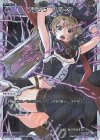 WX25-P1-045P P-LC ブラック・スパーク