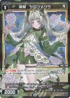 WX25-P1-114P P-C 羅植 シロツメクサ