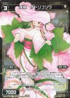  WXK10-059P P-C 羅植 オドリコソウ 
