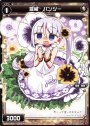 ST 羅植 パンジー