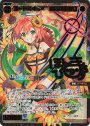 SCR コード2434 本間ひまわり(サイン入り)