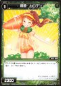 R 羅菌 カロテン