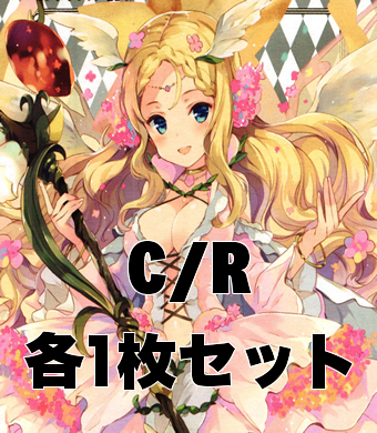 ネクストセレクター R/C各1枚セット