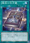 15AY-JPB20 N 魔術の呪文書