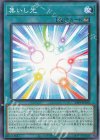  24PP-JP010 N 集いし光 