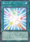  24PP-JP010 P-N 集いし光 