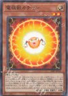  24PP-JP012 P-N 電極獣カチオン 