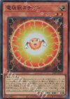  24PP-JP012 SR 電極獣カチオン 
