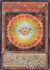  24PP-JP012 SE 電極獣カチオン 