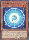  24PP-JP013 P-N 電極獣アニオン 