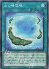  24PP-JP015 N 白の循環礁 