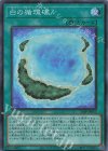  24PP-JP015 SR 白の循環礁 