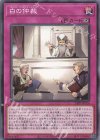  24PP-JP016 N 白の仲裁 