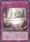  24PP-JP016 P-N 白の仲裁 