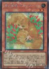  24PP-JP026 SE 森の聖獣 キティテール 