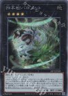  24PP-JP028 SE 神羊樹バロメット 