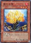 307-007 N 燃える藻