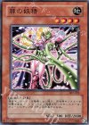  307-022 N 棘の妖精 