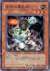308-017 N 伝説の柔術家