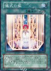 ABPF-JP060 N 儀式の檻