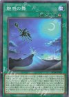  AC04-JP029 P-N 魅惑の舞 