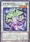  ALIN-JP041 R 白き森の幻妖 