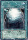ANPR-JP048 R 古の森