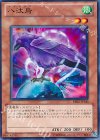 BE02-JP143 N 八汰烏