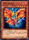  BE02-JP150 N 不死之炎鳥 